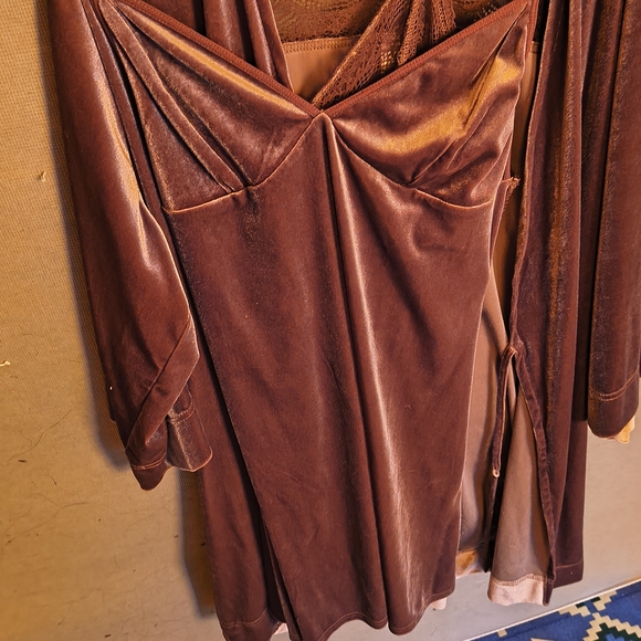 Elegant Brown Velvet Dress - Picture 1 of 4